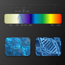 Load image into Gallery viewer, SterliFresh Portable Toothbrush Sanitizer Case Daily Protection For Oral Wellness