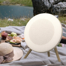 Load image into Gallery viewer, Echo Spear Bluetooth Speaker with Built-In Wireless Subwoofer Vista Shops