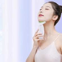 Load image into Gallery viewer, Dolphina Glow Wrinkle Care Massager