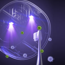 Load image into Gallery viewer, AuraGuard Toothbrush UV Sterilizer And Dryer